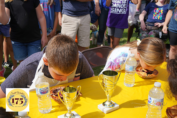 Stonge175-623