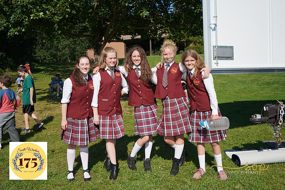 Stonge175-726